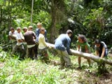 Sustainable Forestry